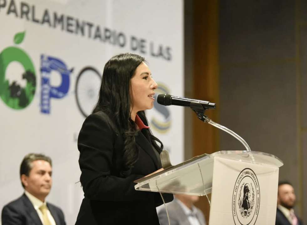 Encuentro Nacional Parlamentario de las Megalópolis